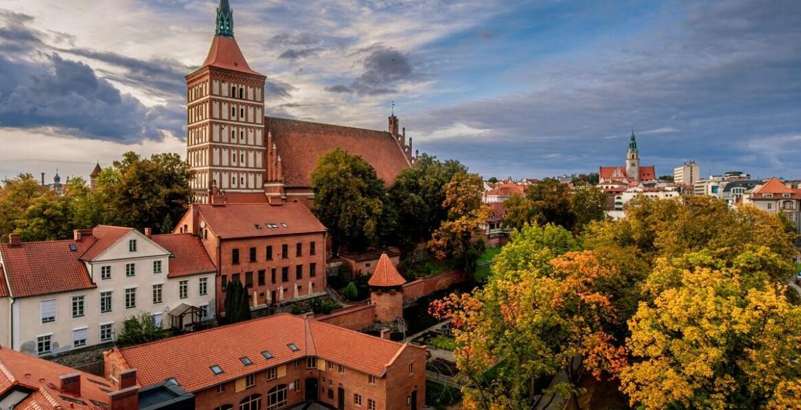 Przewodnicy po Gnieźnie: jak zrozumieć historię i kulturę regionu?
