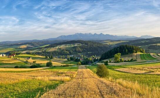 Szlak Piastowski: jakie historie kryją się za jego najważniejszymi punktami?