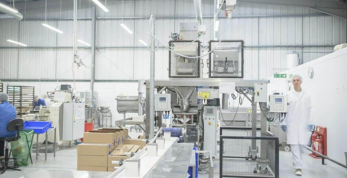 Przegląd rynku maszyn do produkcji wypełniaczy z tektury