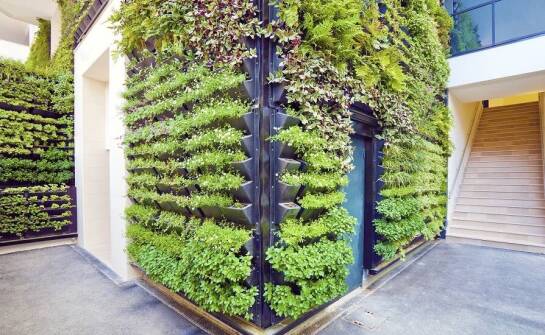 Jak zielone ściany wpływają na efektywność energetyczną budynków?