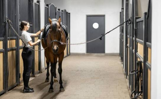 Jakie cechy odróżniają maty premium od standardowych mat do boksów?