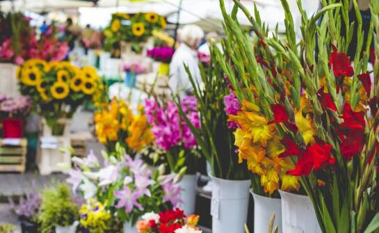 Jak hurtownia florystyczna wspiera lokalnych florystów?