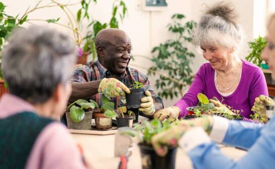 Jakie korzyści przynosi aktywny styl życia na emeryturze w Polanicy Zdroju?