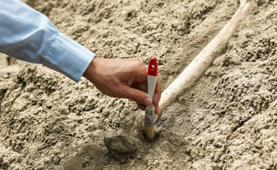 Znaczenie badań archeologicznych na terenie Wolin Gród dla ochrony dziedzictwa kulturowego