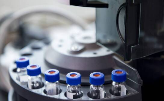 Jakie schorzenia krwi są diagnozowane przez hematologów?