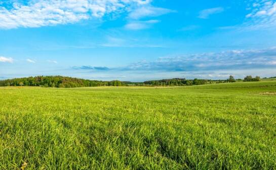 Jak profesjonalne doradztwo wspiera zakup działki budowlanej?