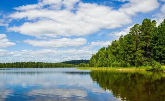 Sauna nad jeziorem Wdzydze – idealne miejsce na relaks po aktywnościach