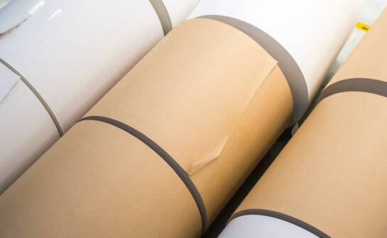 Różnorodność papieru do kasy fiskalnej – co oferuje rynek?