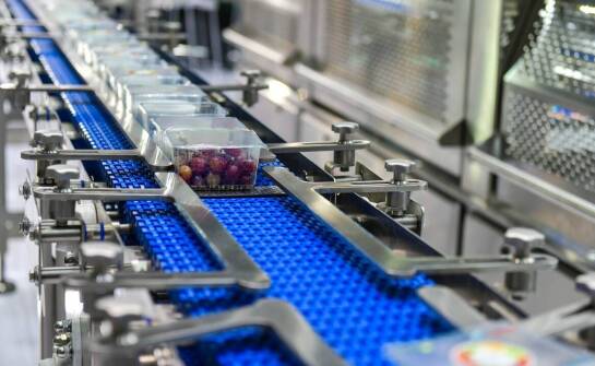 Die wichtigsten Vorteile der Verwendung von Gummigurten für Förderbänder in der Lebensmittelindustrie