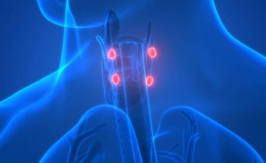 Hormonalne aspekty związane z obecnością torbieli kieszonki Rathkego