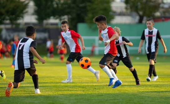 Praktyczne porady dotyczące wynajmu namiotów na imprezy sportowe w Wrocławiu
