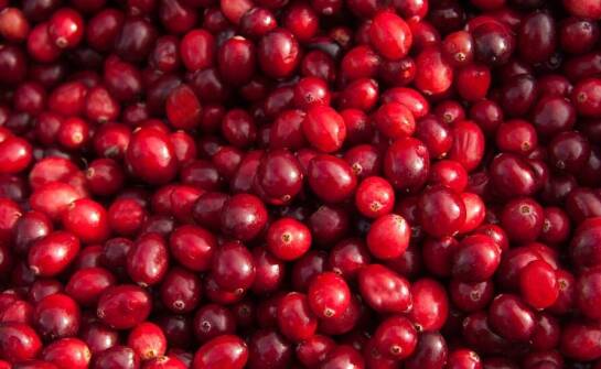 Żurawina błotna jako naturalny konserwant w produktach spożywczych