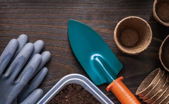 Biogenetic a jakość nasion marihuany: co warto wiedzieć?