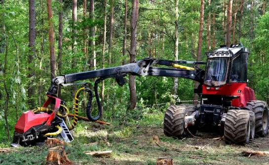 Dlaczego warto inwestować w wysokiej jakości chwytak do drewna?