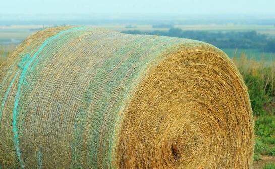 Dlaczego trwałość jest kluczowa przy wyborze siatki rolniczej do bel?