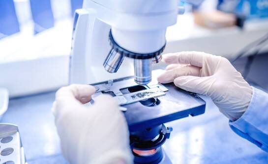 Ergonomia i funkcjonalność nowoczesnych pudełek na szkiełka mikroskopowe