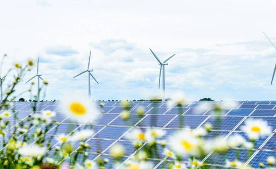 Wpływ białych certyfikatów na zrównoważony rozwój energetyczny regionu śląskiego
