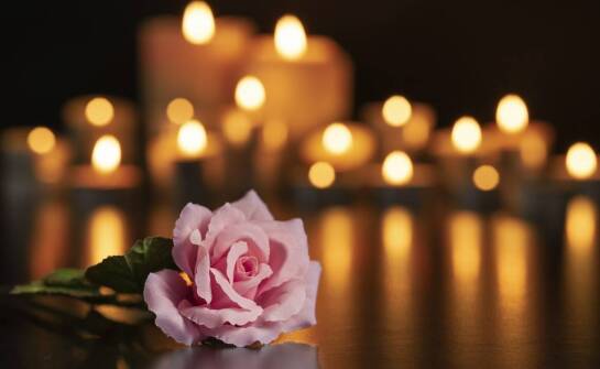 Jak firmy pomagają w załatwianiu formalności międzynarodowych?