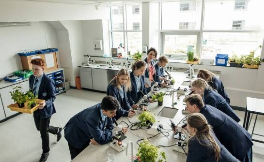 Jak efektywnie integrować preparaty mikroskopowe z programem nauczania biologii?