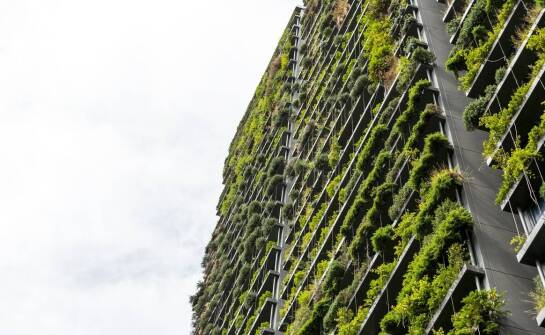 Zalety ekologicznych projektów domów drewnianych w kontekście zdrowego mikroklimatu