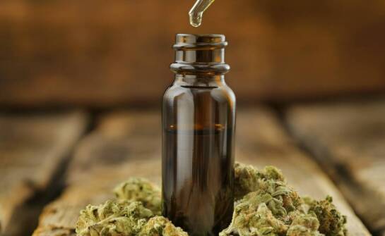 Kannabidiol a jego wpływ na jakość snu: co warto wiedzieć?