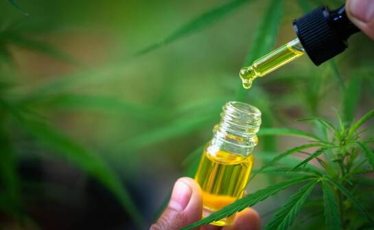 Olejek CBD: różnorodność stężeń i ich zastosowanie