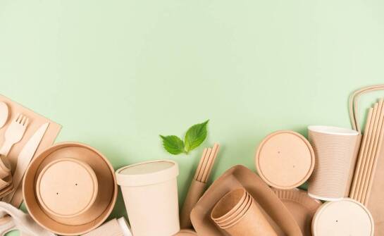 Wpływ ekologicznych pudełek na burgery na redukcję śladu węglowego restauracji