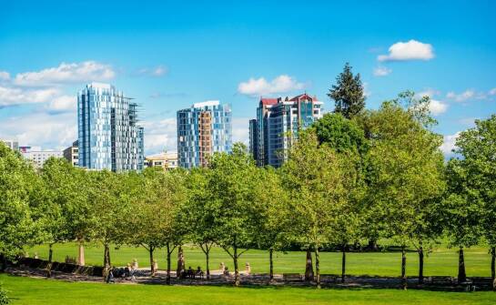 Jak koszenie terenów nieużytkowych może wspierać rozwój infrastruktury zielonej?