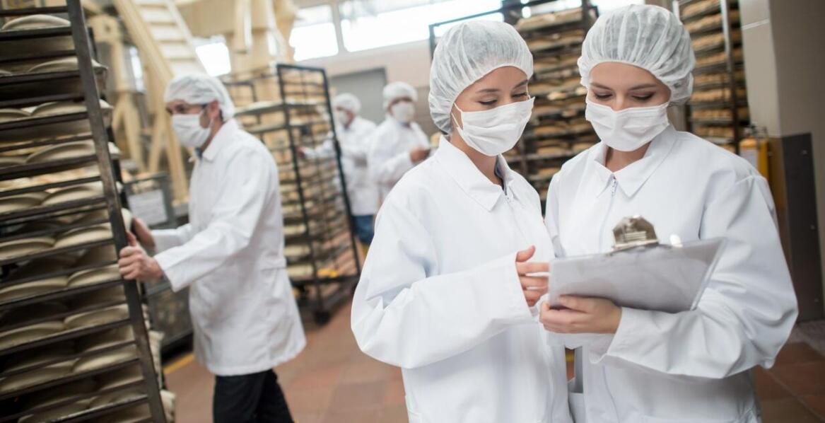 Jak zarządzanie projektem "Zaprojektuj i Wybuduj" wpływa na sukces linii do produkcji pasz granulowanych?