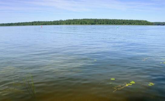 Stand Up Paddle (SUP) - jak certyfikacja wpływa na standardy szkoleń?