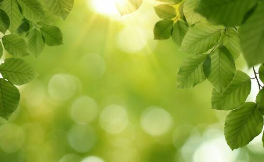 Co wyróżnia Pawilon A w Sanatorium Jan Kazimierz Duszniki Zdrój?