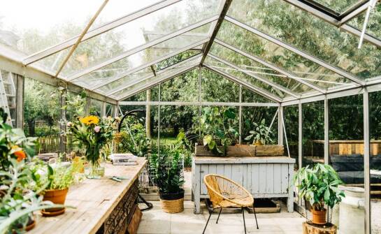 Jak las w słoiku może wzbogacić aranżację wnętrz domowych?