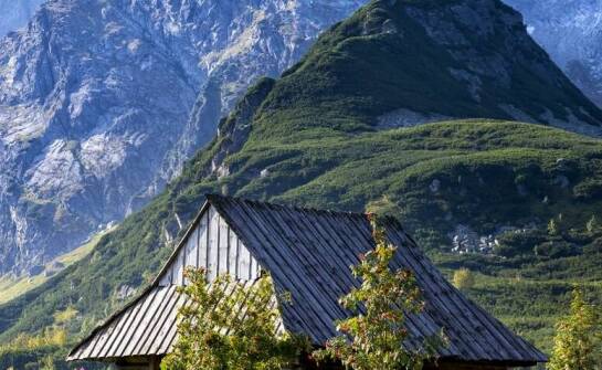 Apartamenty Zakopane centrum: czy warto inwestować w dłuższy pobyt?