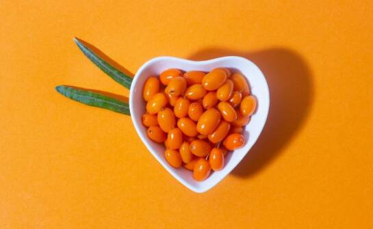 Znaczenie wysokiej jakości białka zwierzęcego w karmach dla kotów – kluczowe zalety