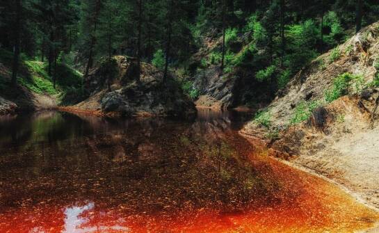 Przydatność badań laboratoryjnych w ocenie jakości ścieków i ich wpływu na środowisko