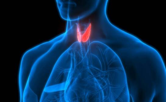 Jakie są objawy zaburzeń w pracy układu limfatycznego?