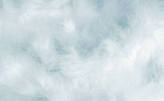 Znaczenie skupu pierza używanego dla zrównoważonego rozwoju