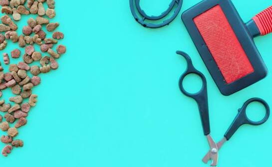 Jakie grzebienie do grzywy są najbardziej polecane przez ekspertów