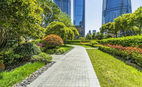 Dlaczego profesjonalne sprzątanie jest ważne dla bezpieczeństwa na terenach zielonych?