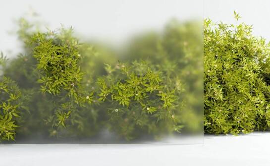 Zalety stosowania płyt PET w nowoczesnym budownictwie