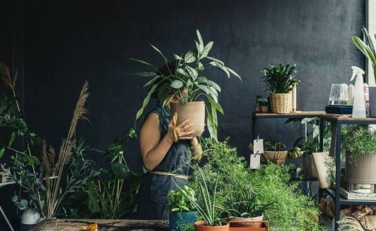 Zalety stosowania doniczek naturalnych w hodowli roślin