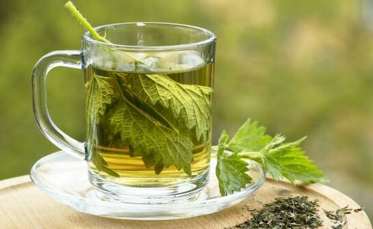 Właściwości przeciwzapalne ziela bukwicy – co warto wiedzieć?