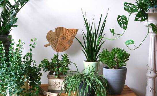 Jak mineralne filtry w słuchawkach wpływają na jakość wody i pielęgnację włosów?