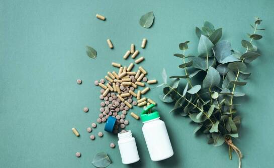 Wpływ suplementów na poprawę funkcji wątroby u gołębi