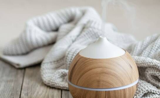 Kompleksowe rozwiązania w ochronie domu przed pajakami