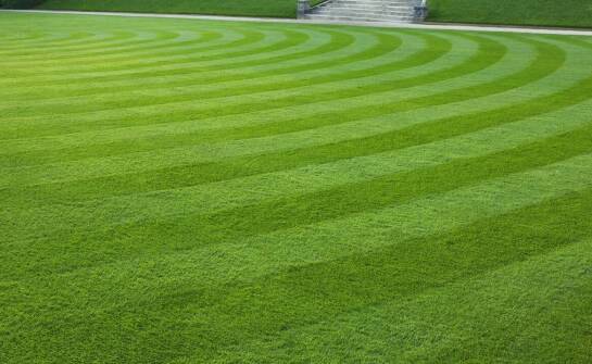 Jak mieszanka traw premium wspiera retencję wody w glebie?