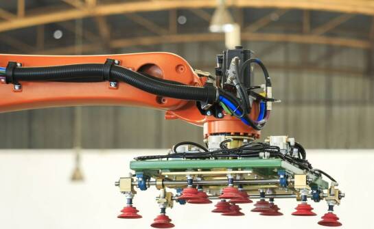 Przyszłość linii do produkcji pasz granulowanych – najnowsze trendy