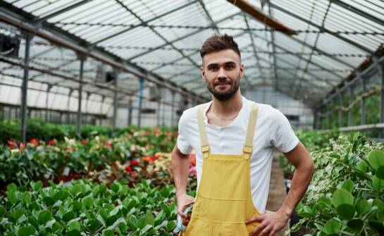 Jakie są kluczowe umiejętności potrzebne do pracy na stanowisku związanym z produkcją hortikultury?