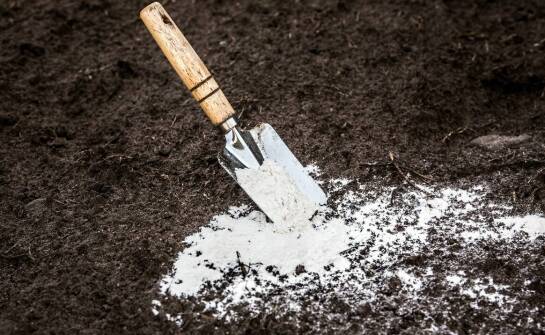 Redukcja kwaśnych deszczów dzięki mączce wapiennej – skuteczne rozwiązania