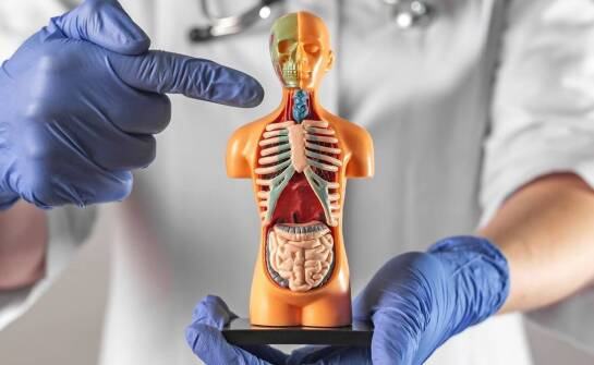 Znaczenie regularnych badań urologicznych dla zdrowia układu moczowego